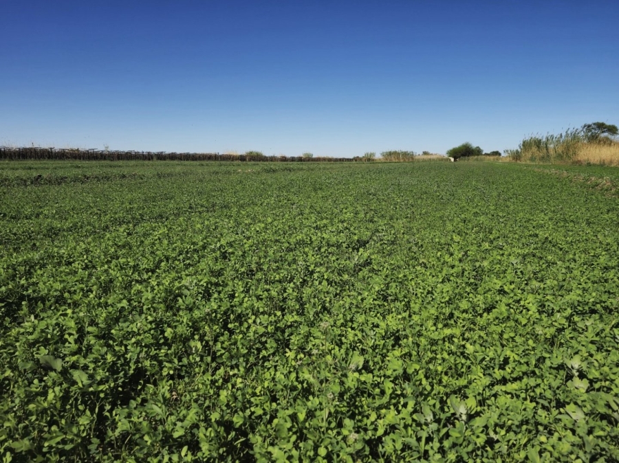 Commercial Property for Sale in Keimoes Rural Northern Cape